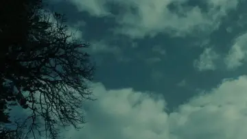 Задник до фільму "Сутінки" #960105