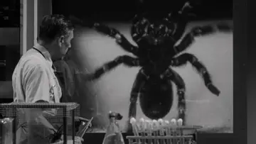 Задник до фильму"Tarantula" #721406