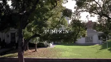 Задник до фильму"Pumpkin" #1128634