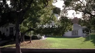 Задник до фильму"Pumpkin" #1128641
