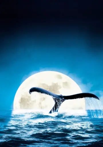 Постер до фильму"Deep Blue" #724860