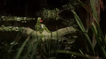 Задник до фильму"The Muppet Movie" #673408