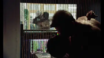 Задник до фильму"My Beautiful Laundrette" #1122151