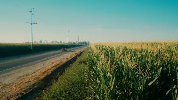 Задник до фильму"Інформатор!" #1001386