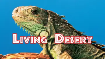 Задник до фільму "The Living Desert" #1620599