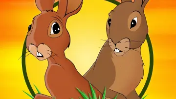 Задник до фильму"Watership Down" #234726