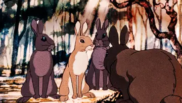Задник до фильму"Watership Down" #480884