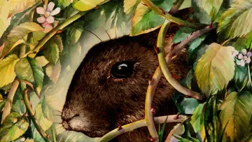 Задник до фильму"Watership Down" #990382