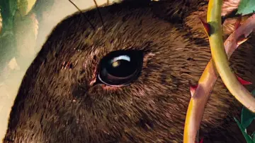 Задник до фильму"Watership Down" #990383