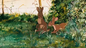 Задник до фильму"Watership Down" #990392