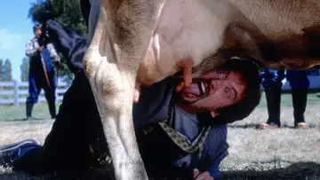 Задник до фильму"Freddy Got Fingered" #1058815