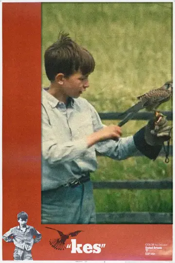 Постер до фільму "Kes" #1165547