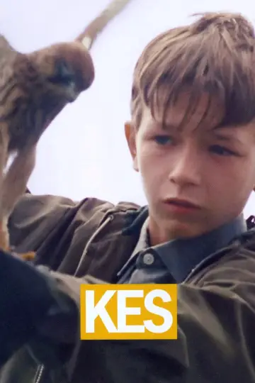 Постер до фільму "Kes" #211584