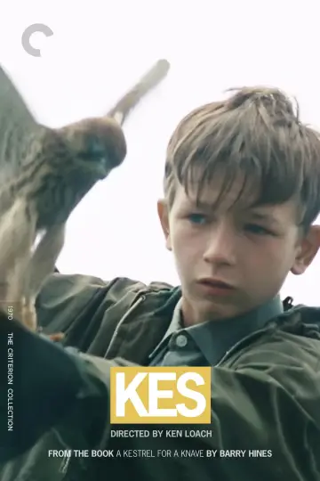 Постер до фільму "Kes" #211587