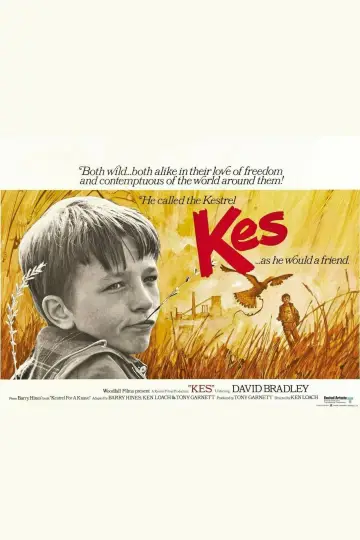 Постер до фільму "Kes" #211588