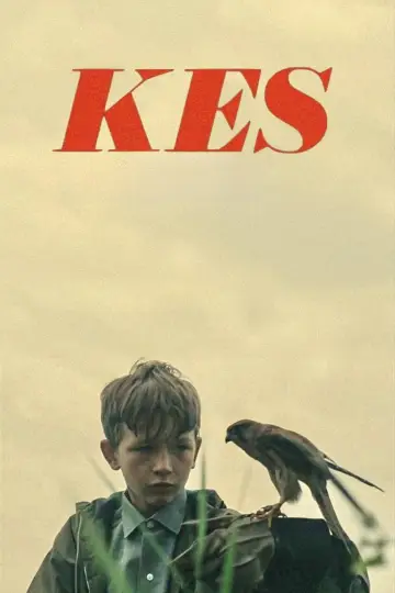 Постер до фільму "Kes" #986708