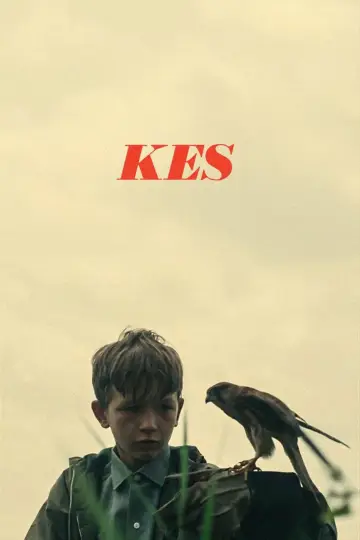 Постер до фільму "Kes" #986710