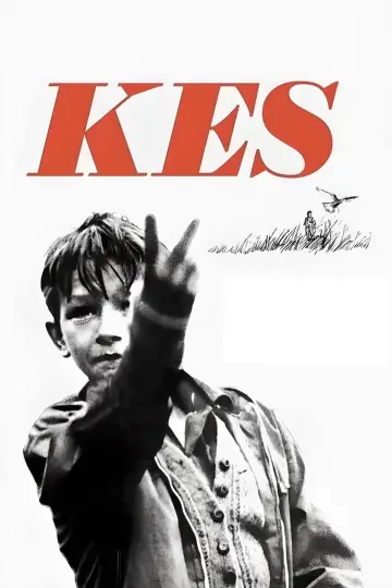 Постер до фільму "Kes" #986712