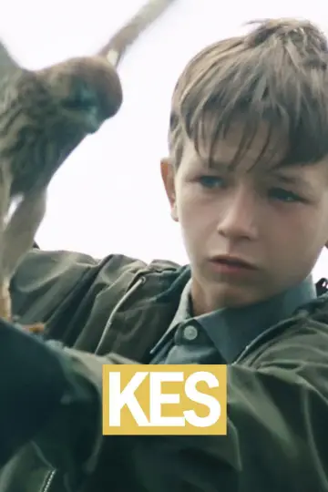 Постер до фільму "Kes" #986716
