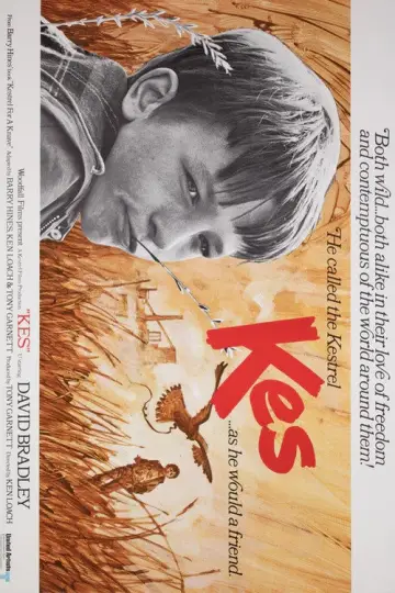 Постер до фільму "Kes" #986718