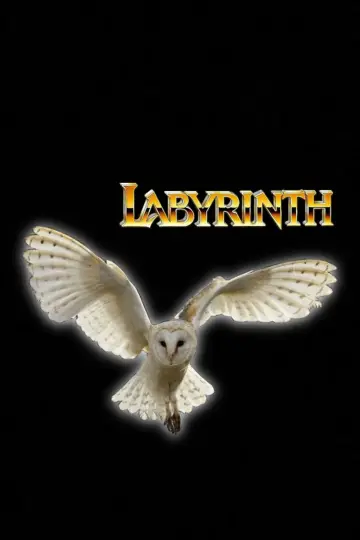 Постер до фильму"Лабіринт" #659173