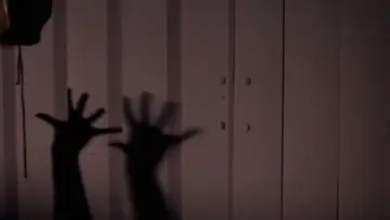 Задник до фильму"Sleepaway Camp" #1201597