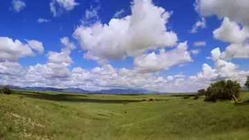 Задник до фильму"Oklahoma!" #358344