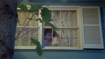 Задник до фильму"Поліестер" #950992