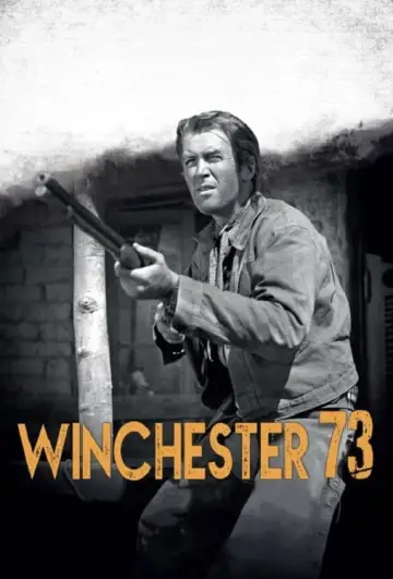 Постер до фильму"Winchester 
