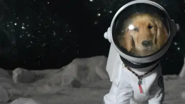 Задник до фильму"Зоряна п