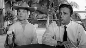 Задник до фільму "The Night of the Iguana" #436553
