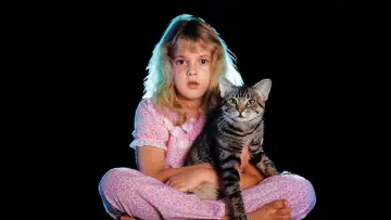 Задник до фильму"Котяче око" #264710