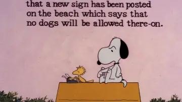 Задник до фильму"Snoopy, Come Home" #1058342