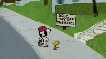 Задник до фильму"Snoopy, Come Home" #1058344