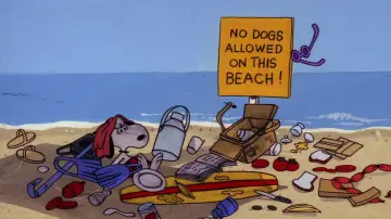 Задник до фильму"Snoopy, Come Home" #1058369