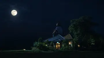 Задник до фільму "Смак чаю" #1649856