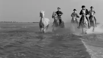 Задник до фильму"Crin Blanc : Le Cheval sauvage" #1096770