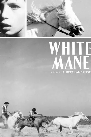 Постер до фильму"Crin Blanc : Le Cheval sauvage" #1096775