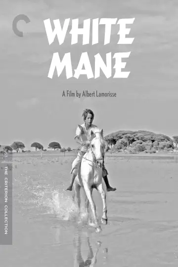 Crin Blanc : Le Cheval sauvage