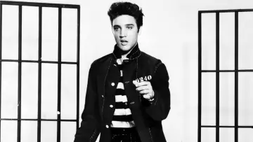 Задник до фильму"Jailhouse Rock" #420224