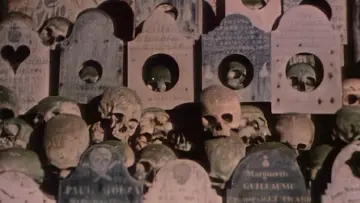 Задник до фільму "Faces of Death II" #1636924
