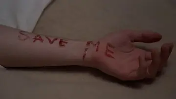 Задник до фильму"Amityville II: The Possession" #1005068