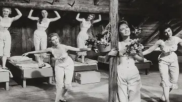 Задник до фильму"Seven Brides for Seven Brothers" #989922