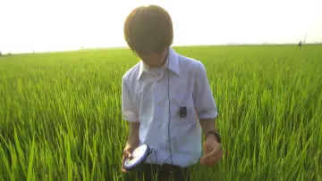 Задник до фильму"リリイ・シュシュのすべて" #1164936