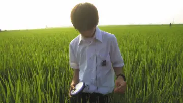 Задник до фильму"リリイ・シュシュのすべて" #788194