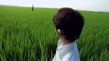 Задник до фильму"リリイ・シュシュのすべて" #788196