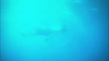 Задник до фильму"リリイ・シュシュのすべて" #788209