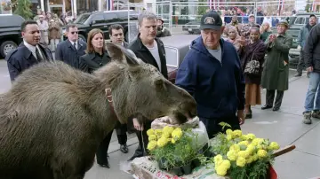Задник до фільму "Вітаємо у Музпорті" #1527667
