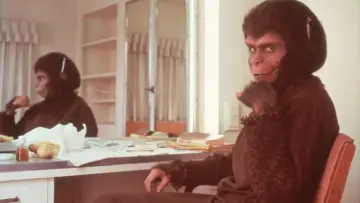 Задник до фильму"Behind the Planet of the Apes" #422012