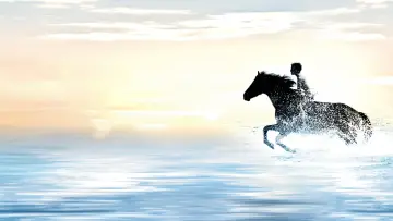 Задник до фильму"The Black Stallion" #1041153